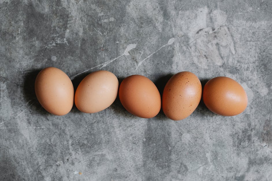 Receitas proteicas